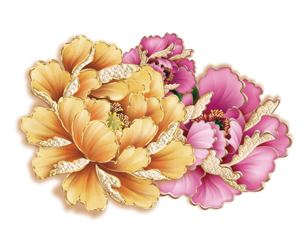 Peonies Flowers Drawing