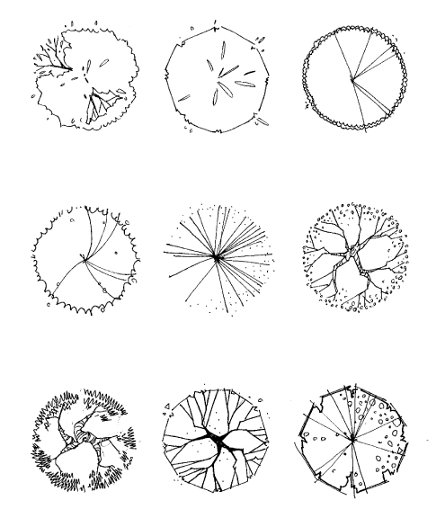 Plan View Tree Symbols Plan View Tree Symbols