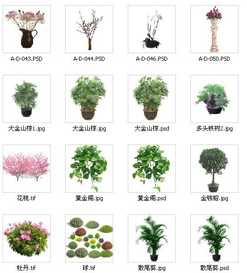 Plants in Plan PSD Free Download