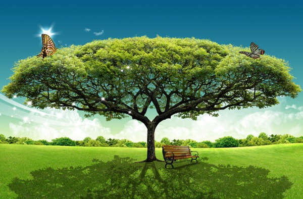 8 Real Tree Background Psd Images