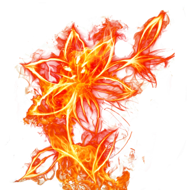 Rose On Fire Rose On Fire