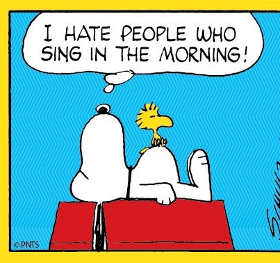 Snoopy Image I Hate Morning People