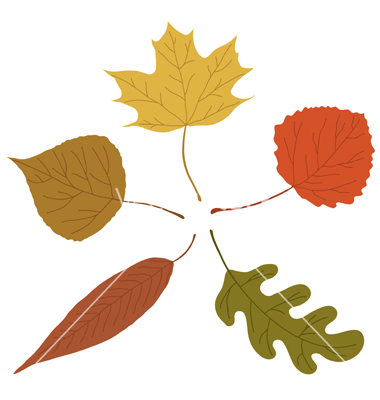 Vector Fall Leaves Clip Art