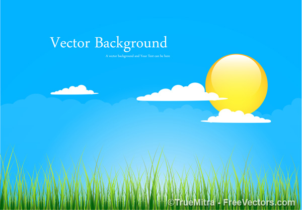 Vector Landscape