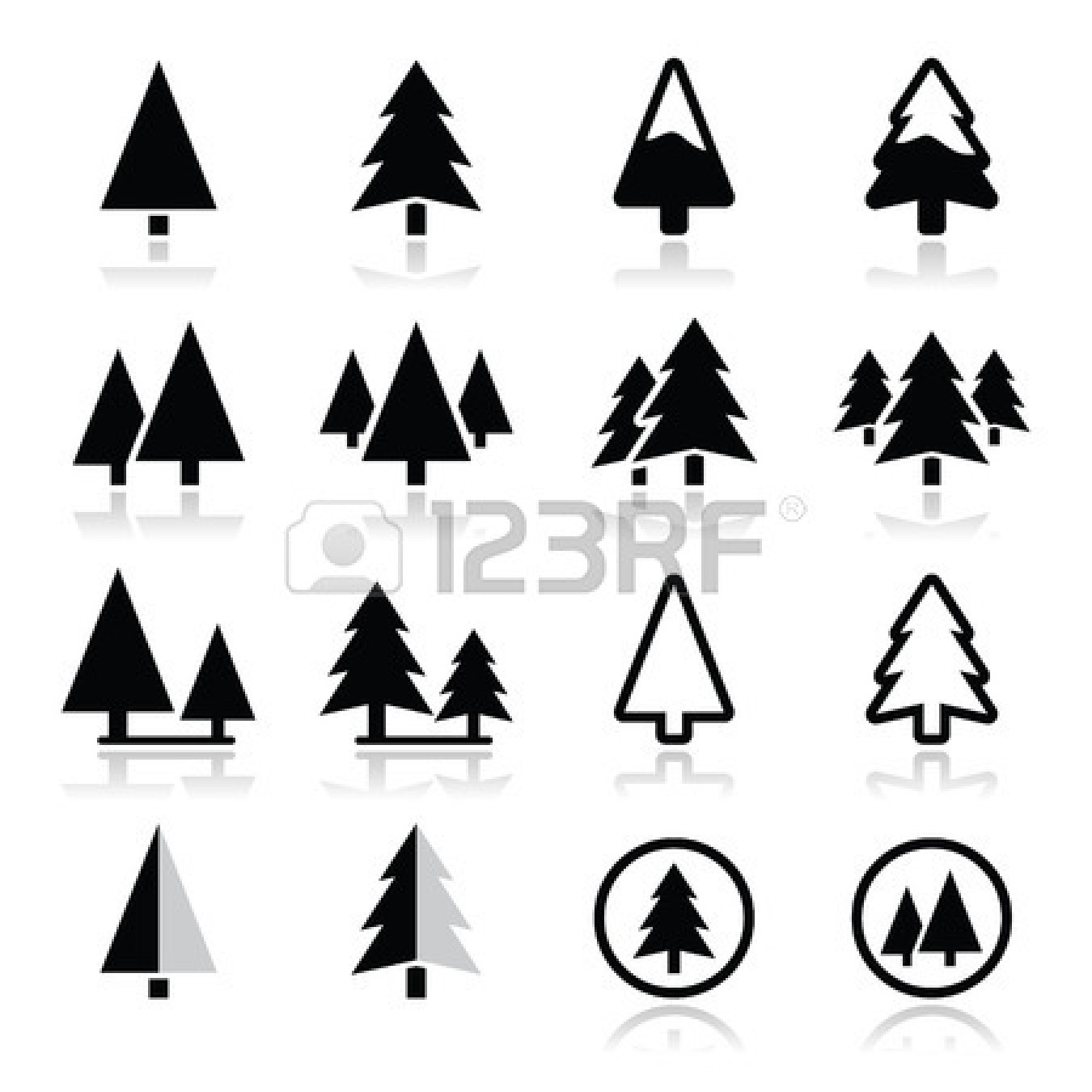 Vector Pine Tree Forest