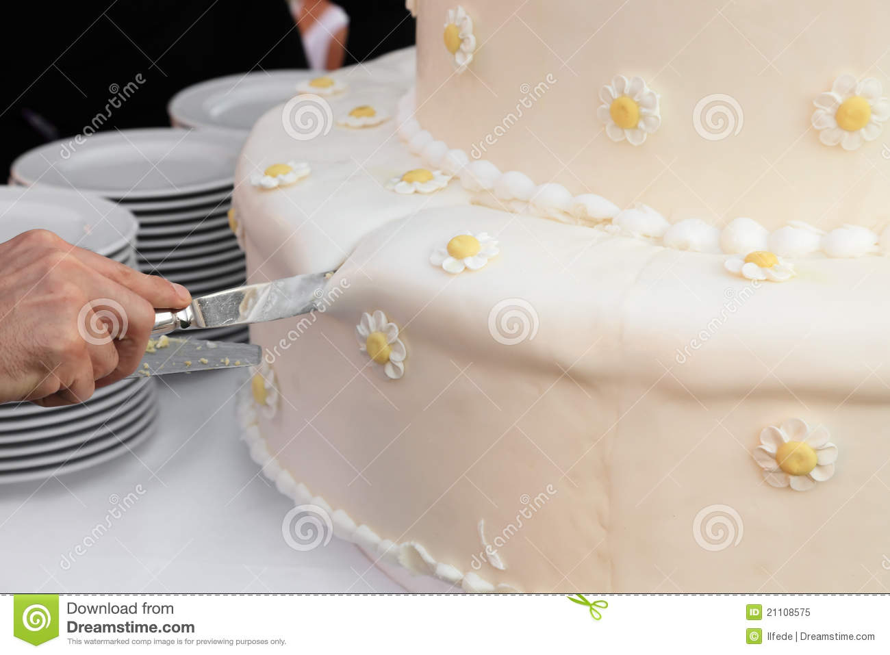 Wedding Cake Cutting