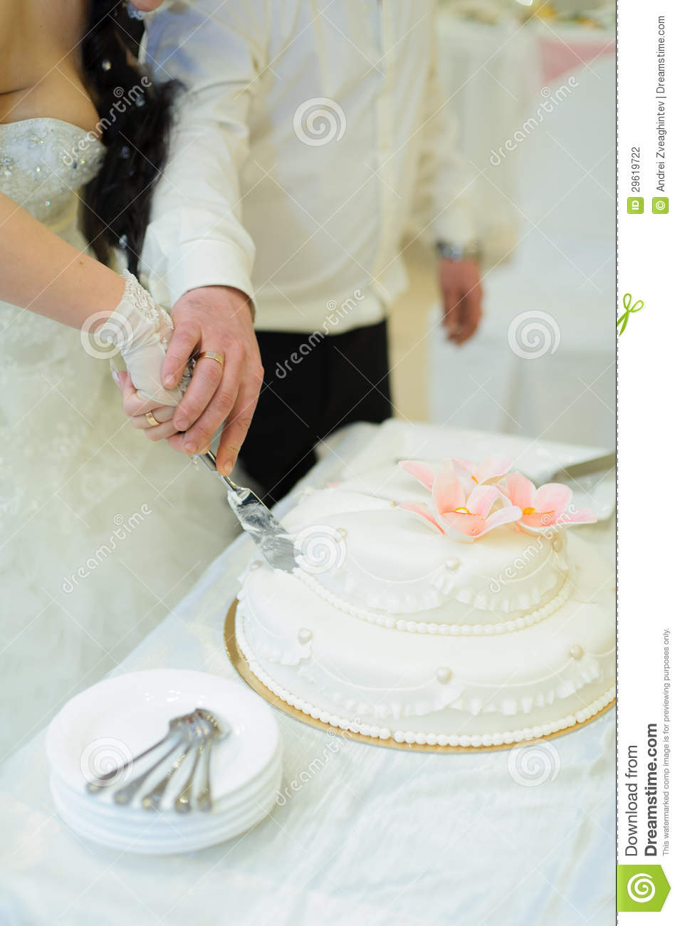 Wedding Cutting Cake Together