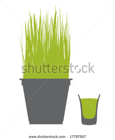 Wheatgrass Vector Art