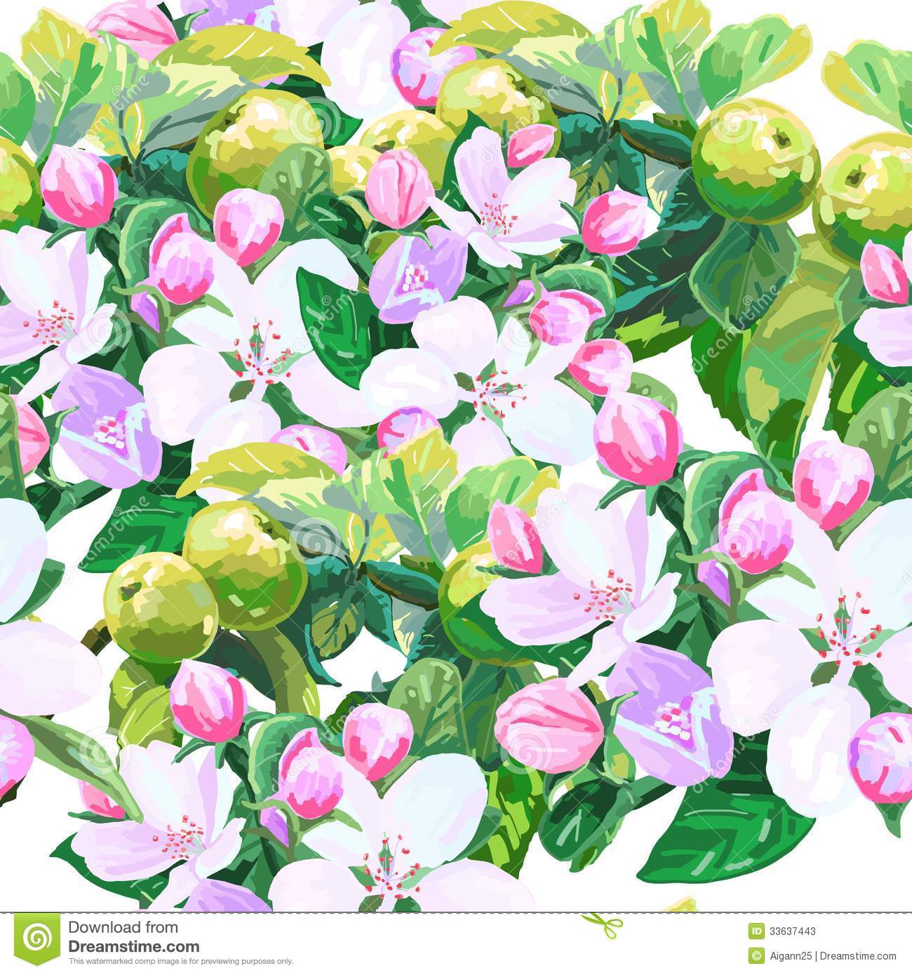 Apple Blossom Drawings