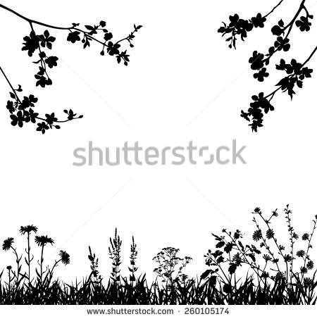 Apple Blossom Vector Illustrations