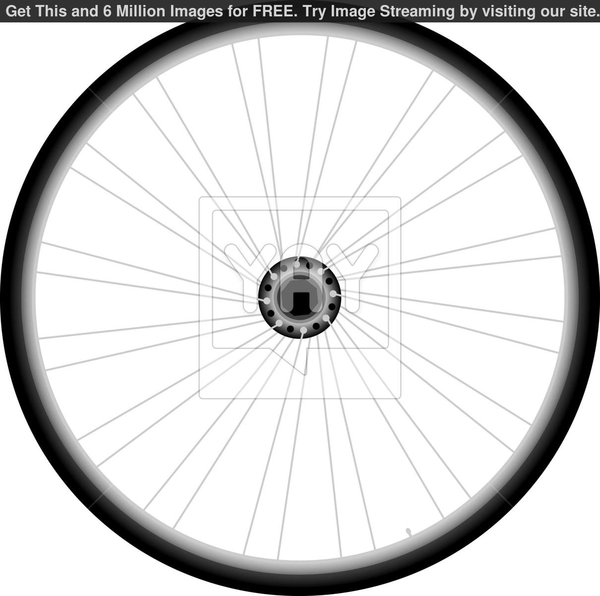Bike Wheel Vector