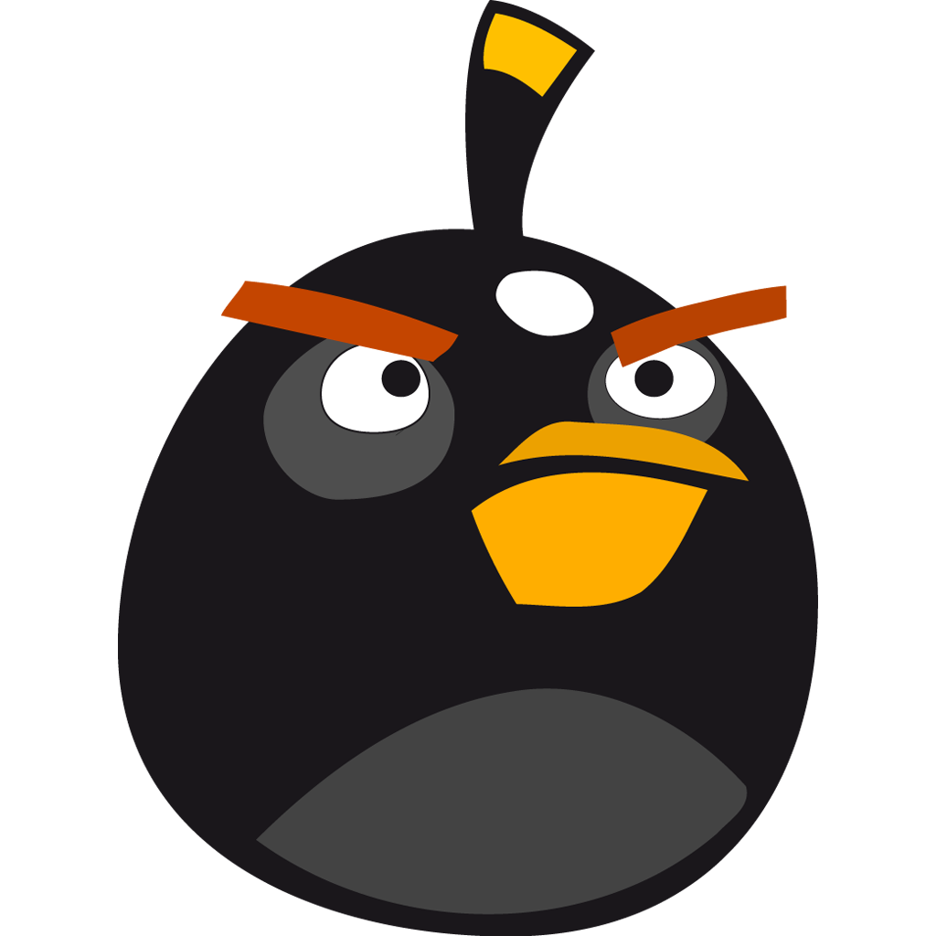 Black Angry Bird
