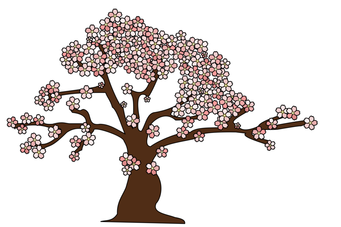 10 Cherry Tree Vector Images