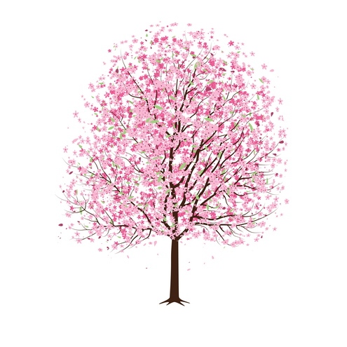 Cherry Blossom Tree Vector