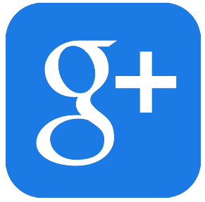 Contact Google Plus Icon