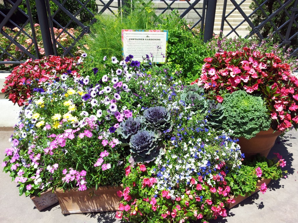 Container Garden Ideas