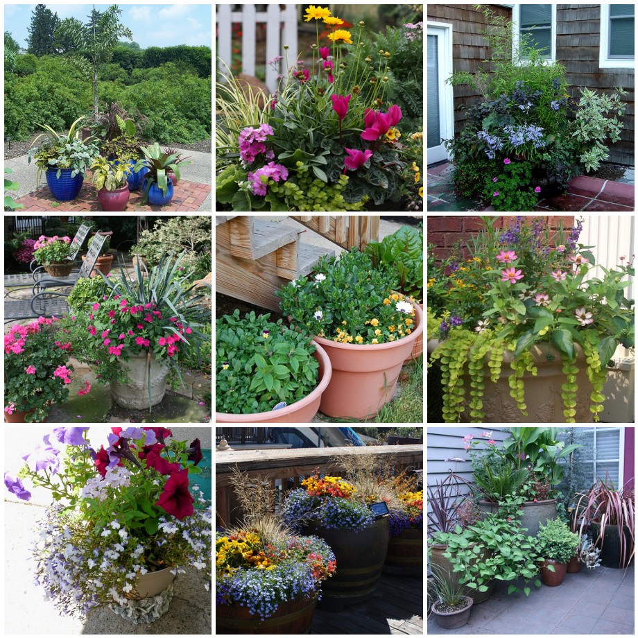 Container Garden Landscaping