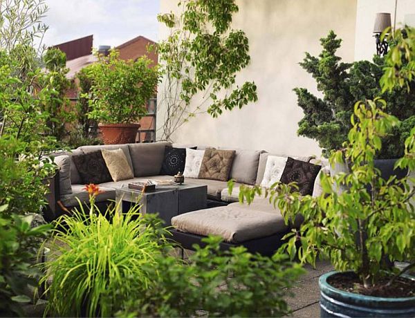 Decorate Patio with Potted Plants Pictures