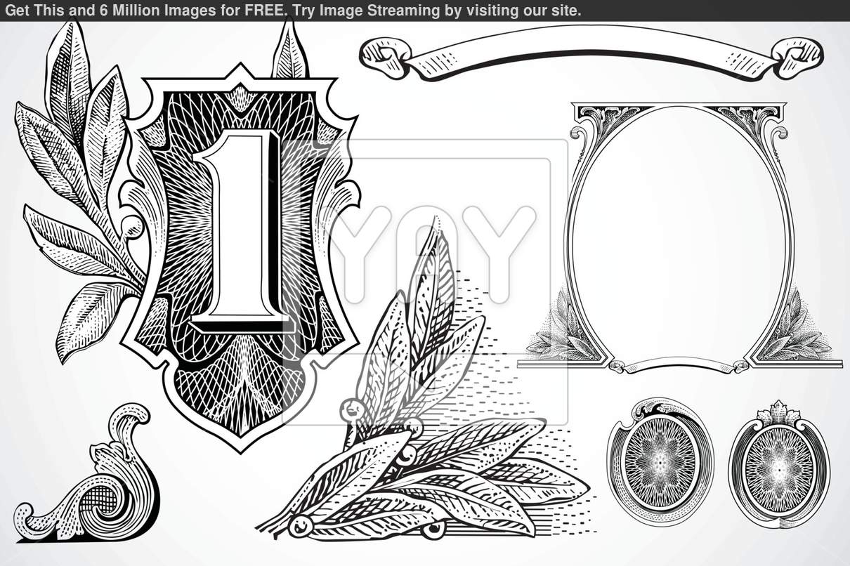 Dollar Bill Vector Elements