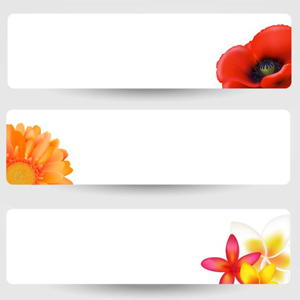 Flower Banner Vector