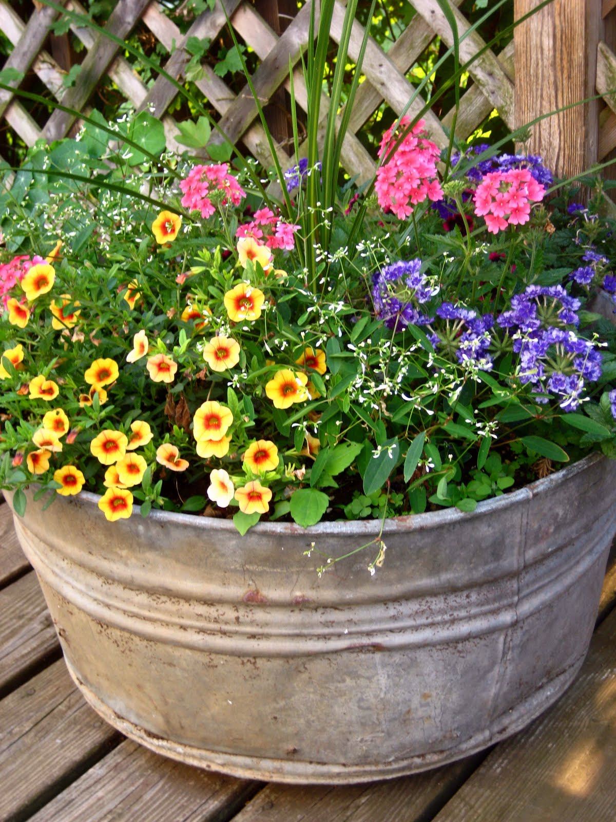 Flower Pot Planting Ideas for Full Sun