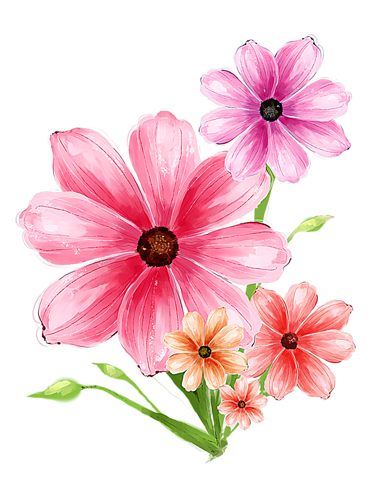 Free Hand Drawn Flower Graphic Free Hand Drawn Flower Graphic