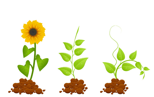 Free Plant Vector Graphics