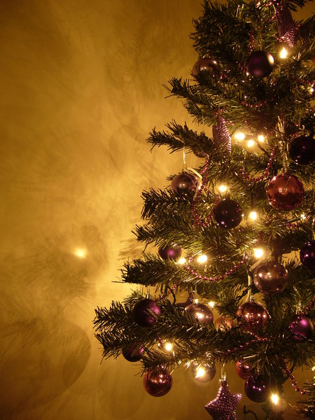 Free Stock Photos and Christmas Trees
