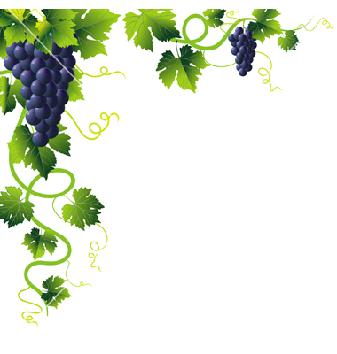 Grape Vine Border Clip Art Free