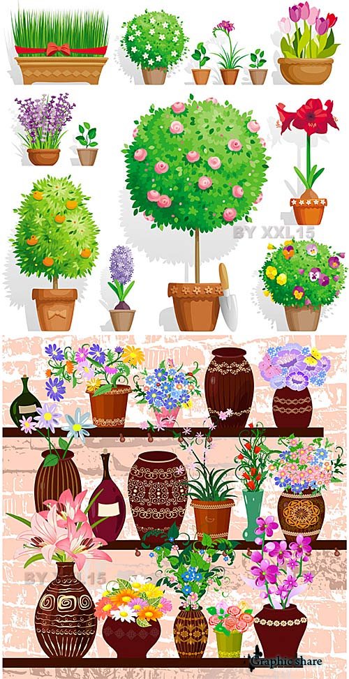 Graphic Pot Plants Pictures