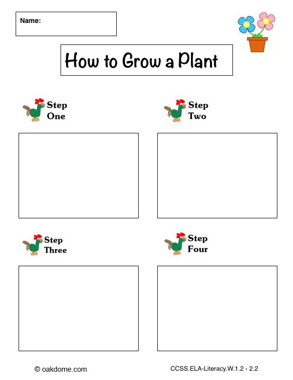 Informative Explanatory Graphic Organizer