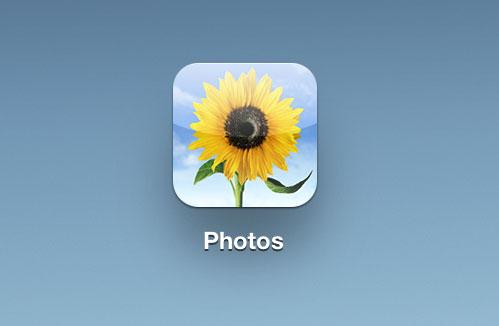 iPhone Camera Roll App Icon