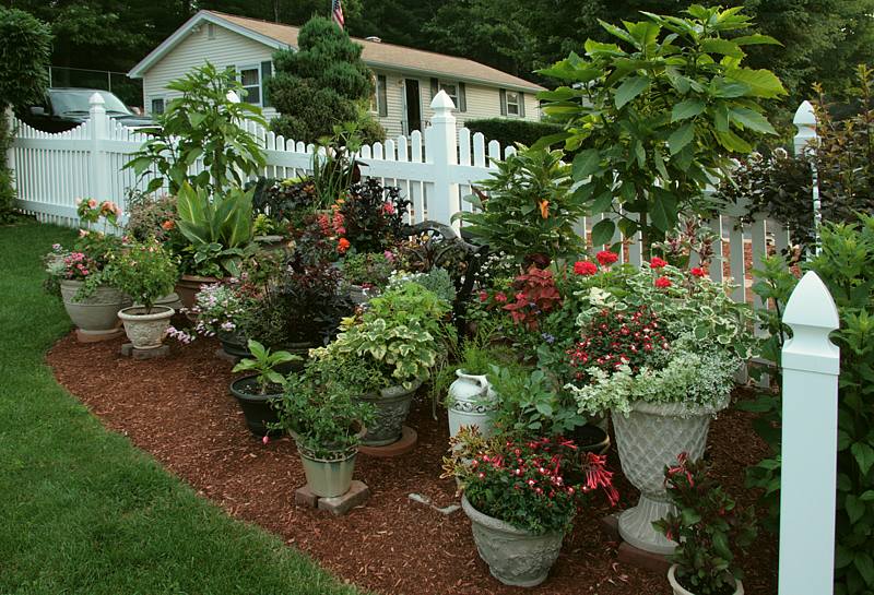 Large Container Garden Ideas