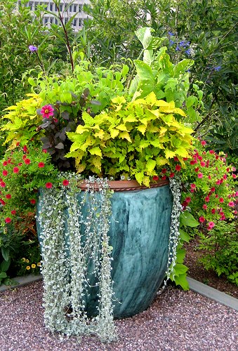 Large Container Gardening