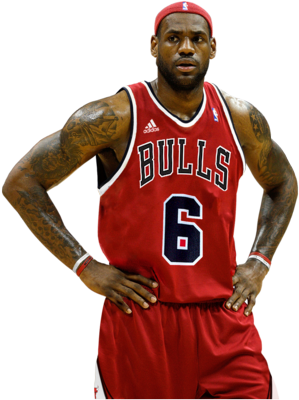 LeBron James Bulls Jersey