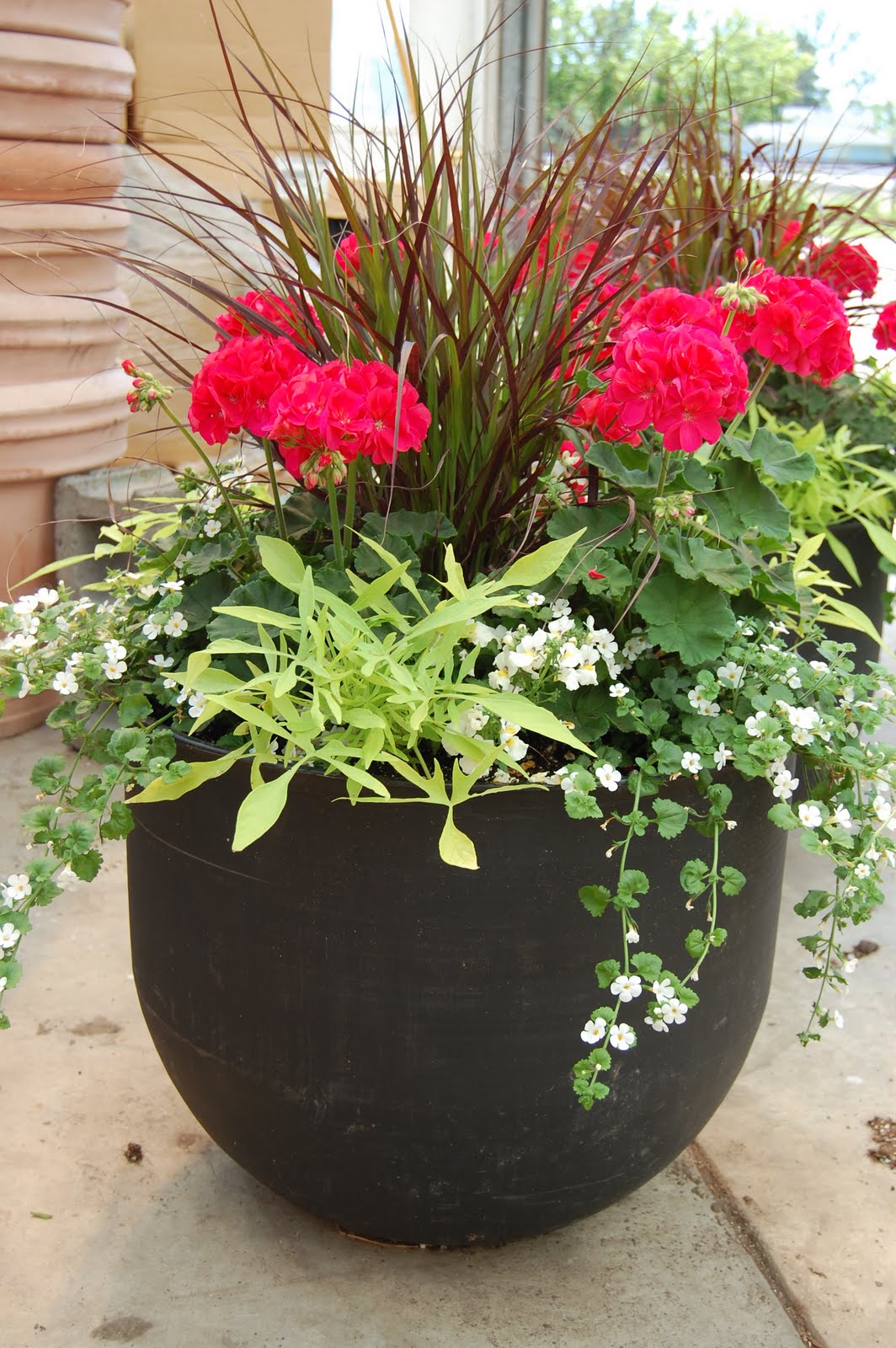 Patio Plant Pot Ideas