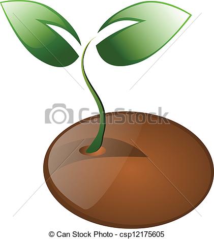 Plant Seeds Clip Art