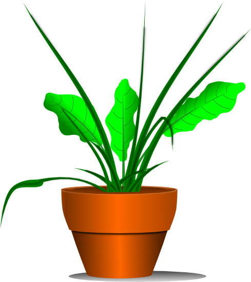 Potted Plant Clip Art