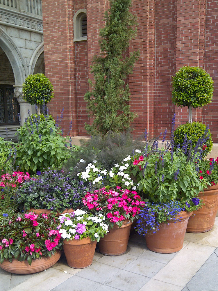 Potted Plant Garden Ideas