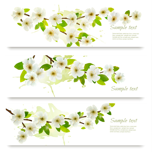 Spring Flowers Banner