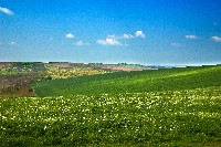 Free High Resolution Photography