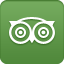 TripAdvisor Logo Icon