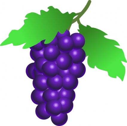 Vector Grape Vine Clip Art