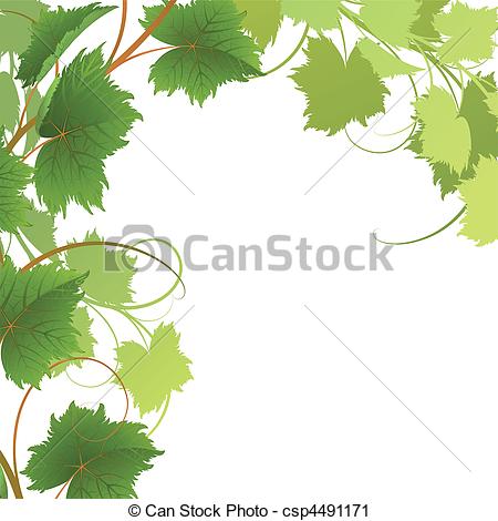 Vine Vector Art