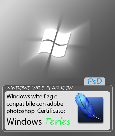 Windows Flag Icon File