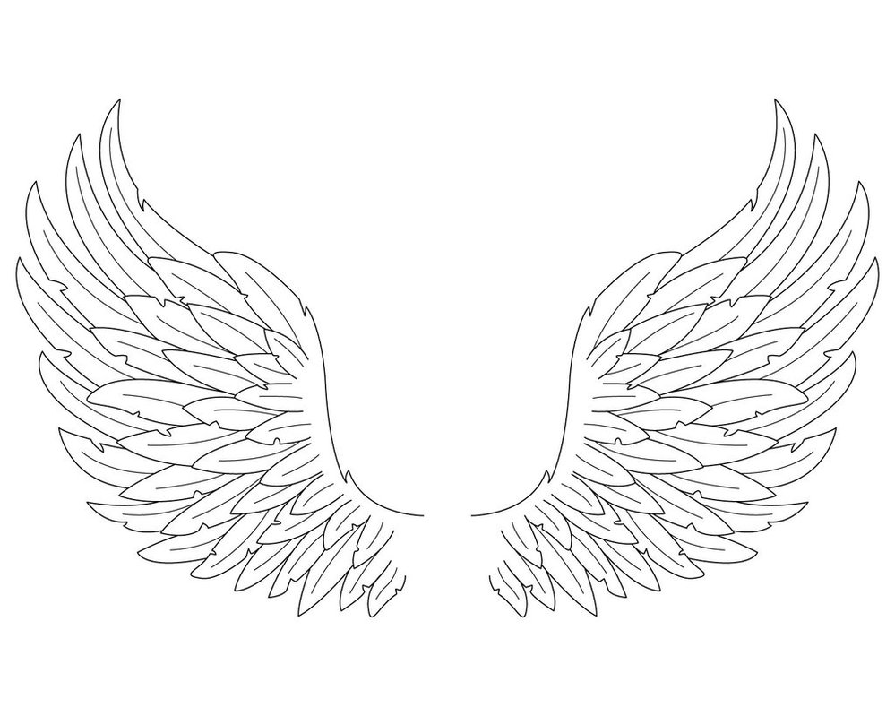 Angel Wings Vector