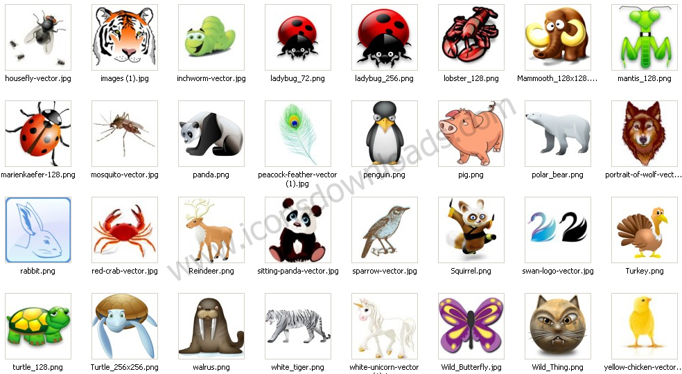 Animal Icons Free Download