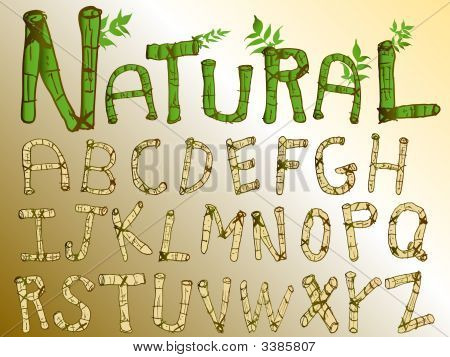 Bamboo Lettering Font