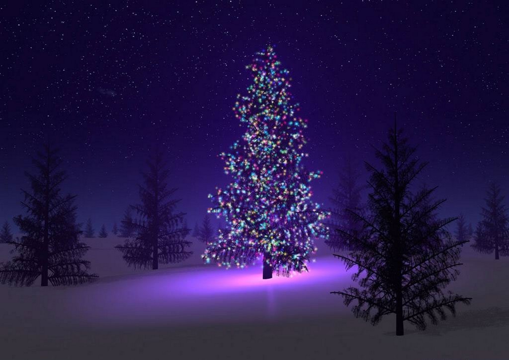 Beautiful Christmas Tree