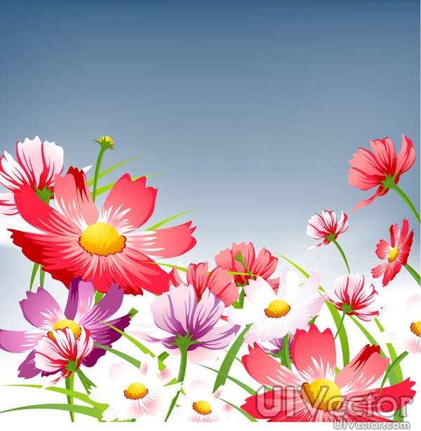 Beautiful Vector Flowers